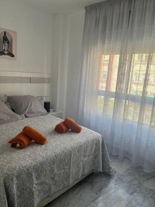 Apartamento Medina Azahara Córdoba Exteriör bild